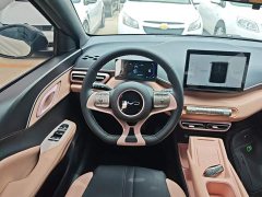 BYD Seagull 305km Freedom Edition - ფოტო 3