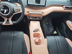 BYD Seagull 305km Freedom Edition - ფოტო 6
