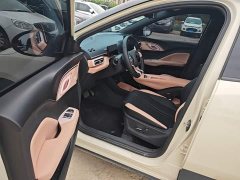 BYD Seagull 305km Freedom Edition - ფოტო 8