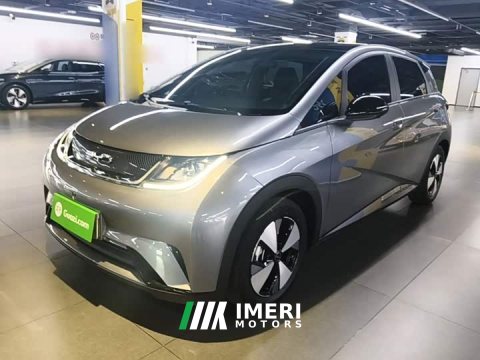 2023 BYD Dolphin 420km Fashion Edition - ავტომობილი ჩინეთიდან