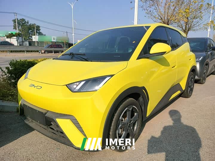 BYD Seagull 2023 Freedom Edition - ავტომობილი ჩინეთიდან