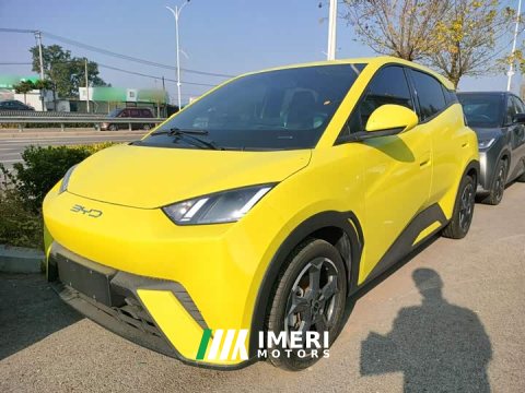 2024 BYD Seagull 2023 Freedom Edition - ავტომობილი ჩინეთიდან