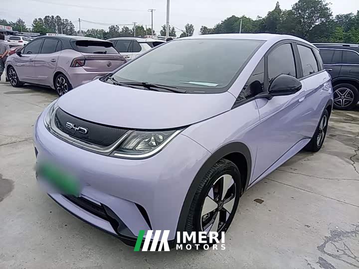 BYD Dolphin 420km Freedom Edition - ავტომობილი ჩინეთიდან
