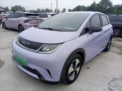 BYD Dolphin 420km Freedom Edition - ფოტო 1