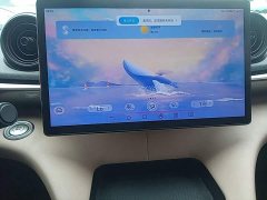 BYD Dolphin 420km Freedom Edition - ფოტო 12