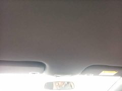 BYD Dolphin 420km Freedom Edition - ფოტო 17