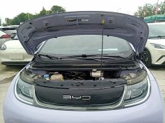 BYD Dolphin 420km Freedom Edition - ფოტო 19