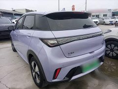 BYD Dolphin 420km Freedom Edition - ფოტო 4
