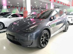 Tesla Model Y Long Range All-Wheel Drive 3D7 - ფოტო 1