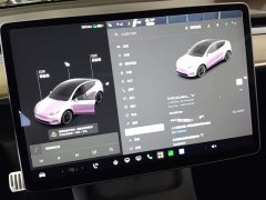 Tesla Model Y Long Range All-Wheel Drive 3D7 - ფოტო 11