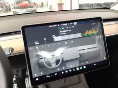 Tesla Model Y Long Range All-Wheel Drive 3D7 - ფოტო 12