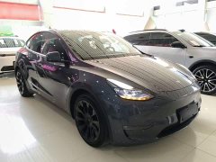 Tesla Model Y Long Range All-Wheel Drive 3D7 - ფოტო 3