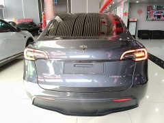 Tesla Model Y Long Range All-Wheel Drive 3D7 - ფოტო 5