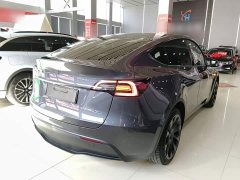Tesla Model Y Long Range All-Wheel Drive 3D7 - ფოტო 6