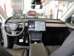 Tesla Model Y Long Range All-Wheel Drive 3D7 - ფოტო 9