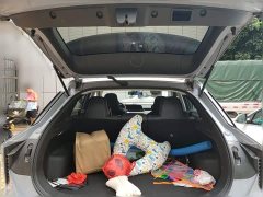Nissan Qichen Dà V 260T Idol Edition Pro - ფოტო 9