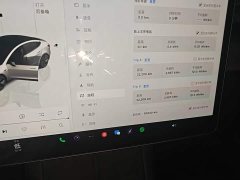 Tesla Model 3 2022 Rear-Wheel Drive - ფოტო 11