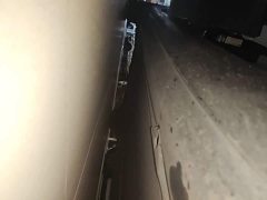 Tesla Model 3 2022 Rear-Wheel Drive - ფოტო 20