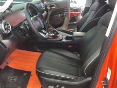 Tank 300 2023 Off-Road Edition 2.0T Conqueror - ფოტო 5