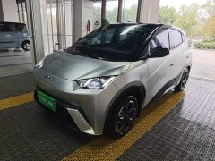 BYD Seagull 305km Freedom Edition - ფოტო 1