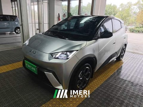 2025 BYD Seagull 305km Freedom Edition - ავტომობილი ჩინეთიდან