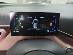 BYD Seagull 305km Freedom Edition - ფოტო 11