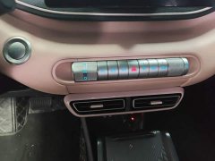 BYD Seagull 305km Freedom Edition - ფოტო 13