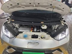 BYD Seagull 305km Freedom Edition - ფოტო 19