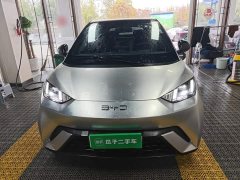 BYD Seagull 305km Freedom Edition - ფოტო 2