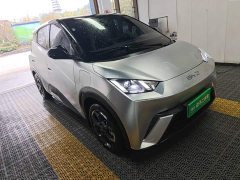 BYD Seagull 305km Freedom Edition - ფოტო 3