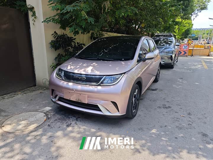 BYD Dolphin 405km Fashion Edition - ავტომობილი ჩინეთიდან