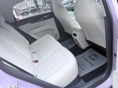 Geely Xing Yuan UP 410km Explorer Edition - ფოტო 11