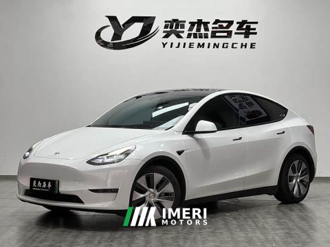 2021 Tesla Model Y Standard Range RWD - ავტომობილი ჩინეთიდან