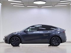 Tesla Model Y Rear-Wheel Drive - ფოტო 3