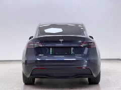 Tesla Model Y Rear-Wheel Drive - ფოტო 8