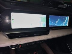 Geely Xingyue L 2.0T High-Power Automatic AWD Flagship - ფოტო 14