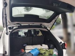 Ford Sharp 2020 EcoBoost 245 FWD Smart Comfort Edition - ფოტო 15