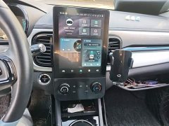 Chery Ant 2023 251km True Love Edition LFP Battery - ფოტო 9
