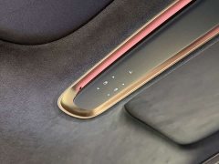 NIO ET9 102kWh Horizon Special Edition - ფოტო 20