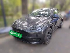 Tesla Model Y Rear-Wheel Drive - ფოტო 1