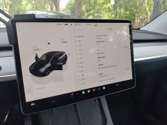 Tesla Model Y Rear-Wheel Drive - ფოტო 7