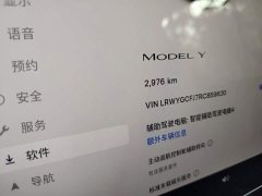 Tesla Model Y Rear-Wheel Drive - ფოტო 8