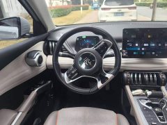 BYD Yuan Plus 2023 Champion Edition 510KM Transcendent - ფოტო 6