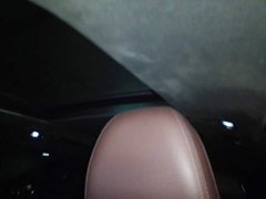 Geely Xingyue L 2.0T High-Power Automatic AWD Flagship - ფოტო 14