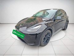 Tesla Model Y Rear-Wheel Drive - ფოტო 1
