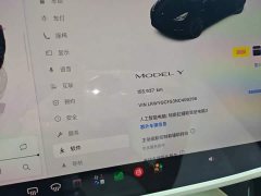 Tesla Model Y Rear-Wheel Drive - ფოტო 8