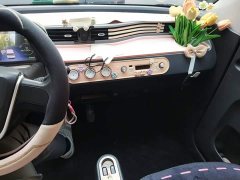 Wuling Hongguang MINIEV 2022 Macaron Premium Edition LFP - ფოტო 9