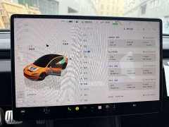 Tesla Model 3 High Performance All-Wheel Drive - ფოტო 6