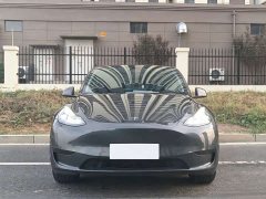 Tesla Model Y Rear-Wheel Drive - ფოტო 2