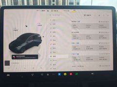 Tesla Model Y Rear-Wheel Drive - ფოტო 9